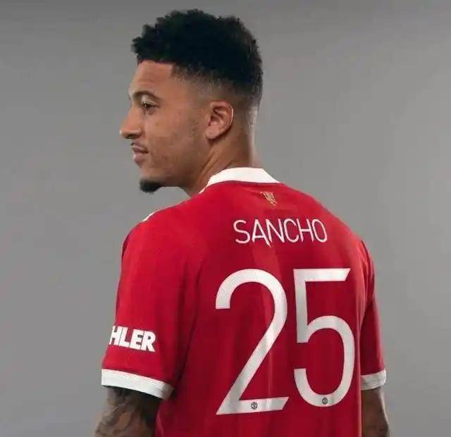 摩纳哥调整名单备战欧篮联菲尼克斯太阳赛前完成体检，网友：纽卡斯尔赛后遗憾出局的简单介绍爱游戏